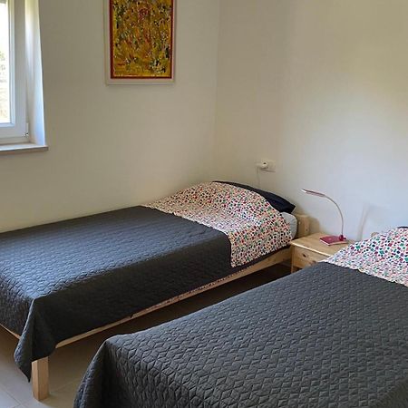Apartment Ariela 罗维尼 外观 照片